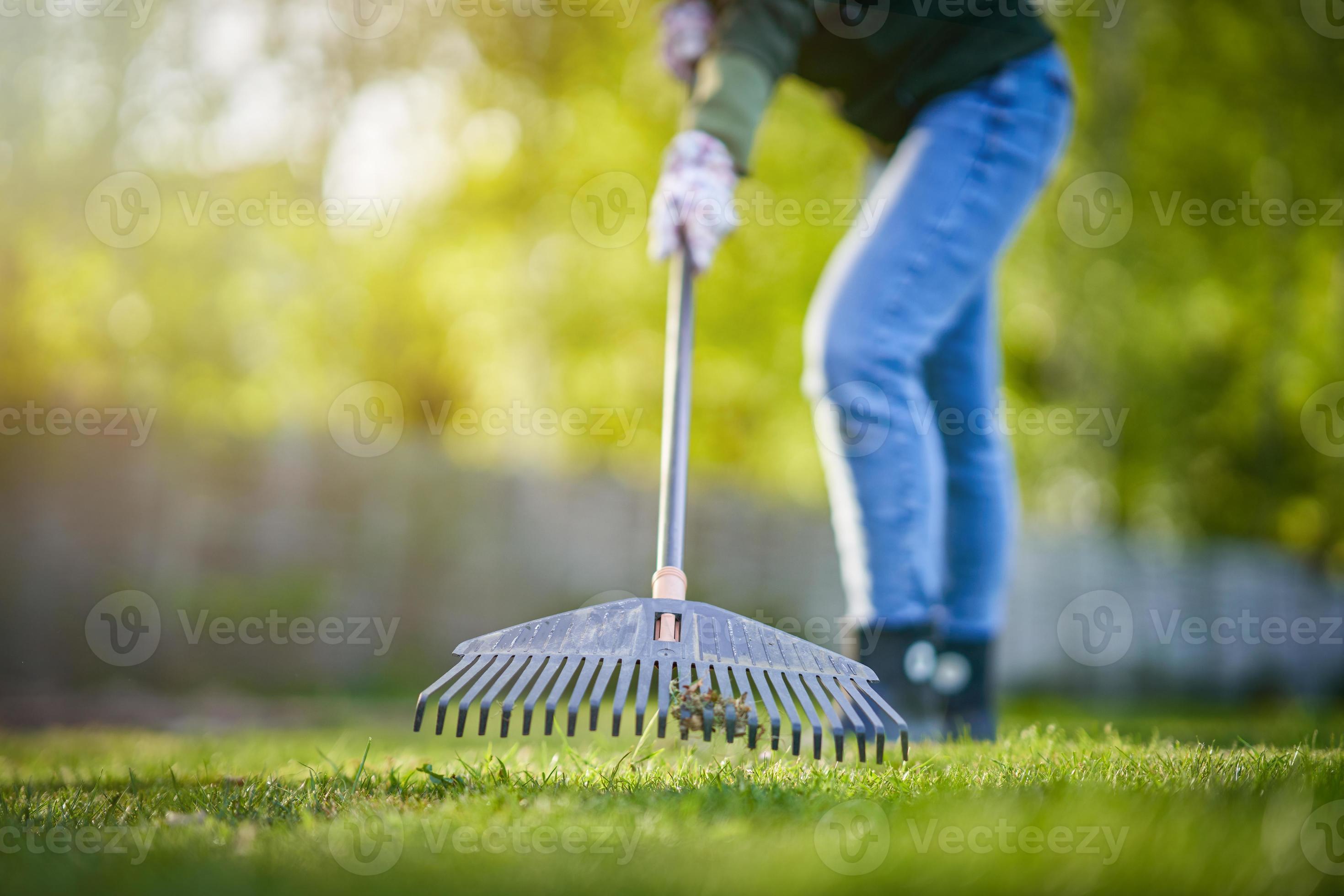 immagine di erba rastrello nel il giardino 15850608 Stock Photo su Vecteezy