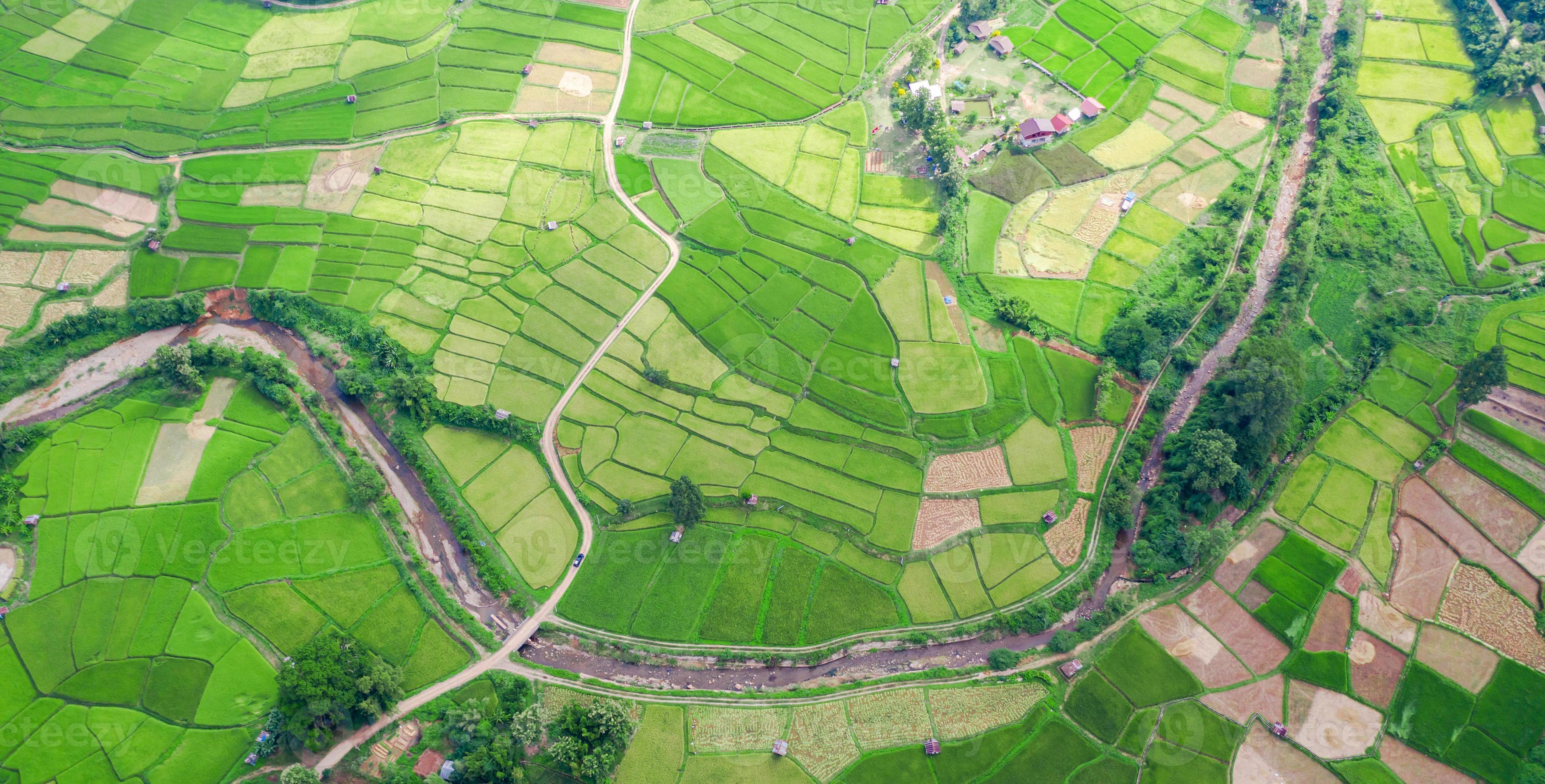 veduta aerea del paesaggio del campo di riso verde foto