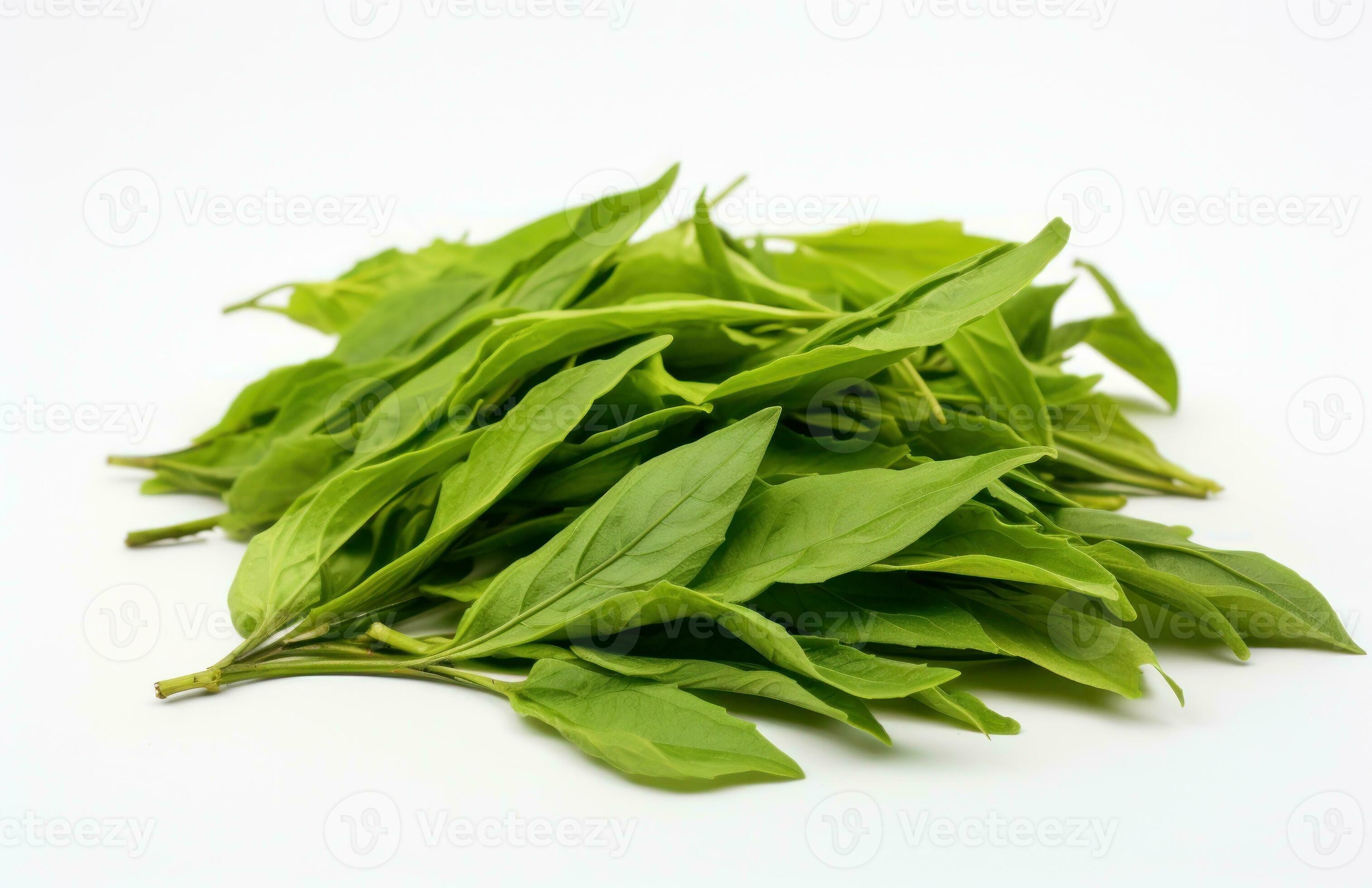 foglie di tè verde 26662949 Stock Photo su Vecteezy