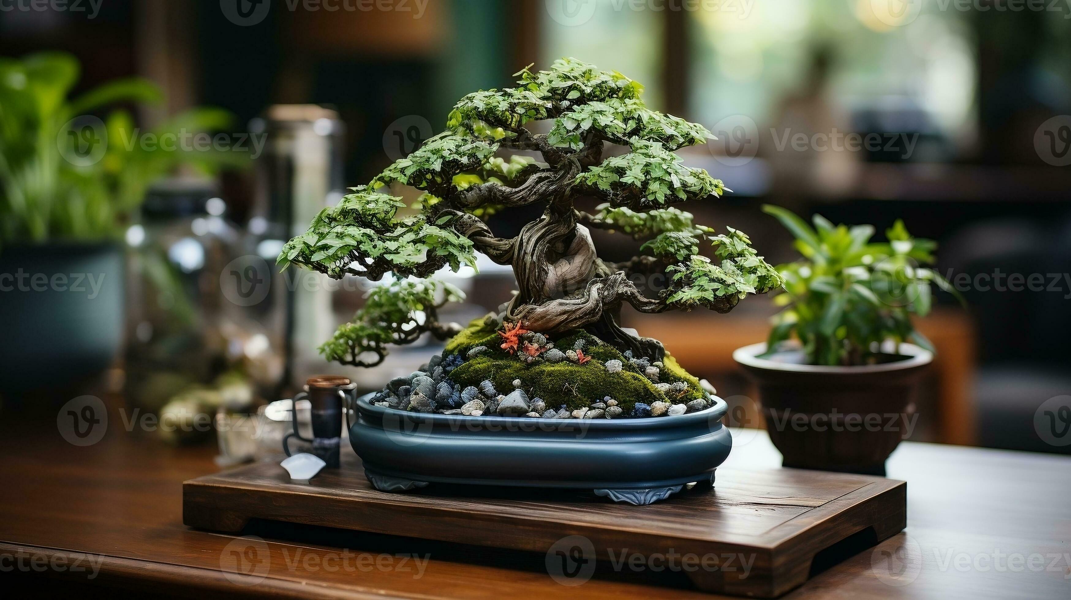 bellissimo in vaso Bonsai ornamentale impianti generativo ai 27213038 Stock  Photo su Vecteezy