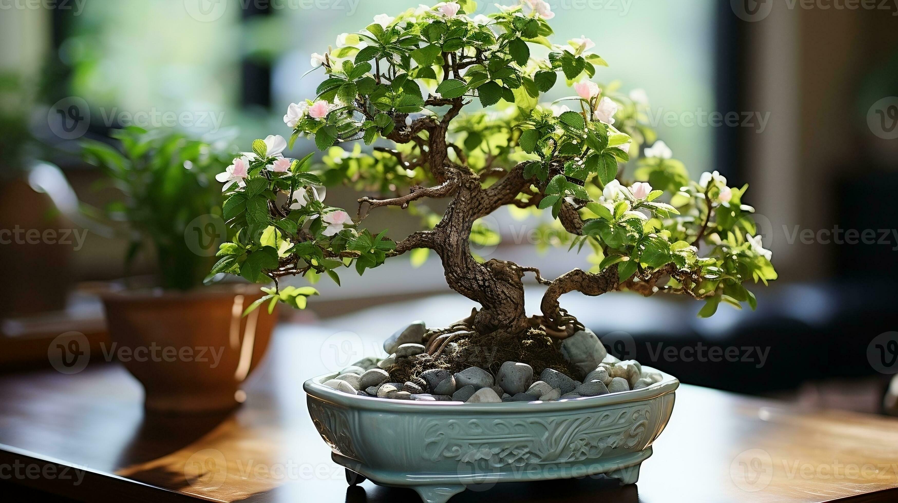 bellissimo in vaso Bonsai ornamentale impianti generativo ai 27213097 Stock  Photo su Vecteezy