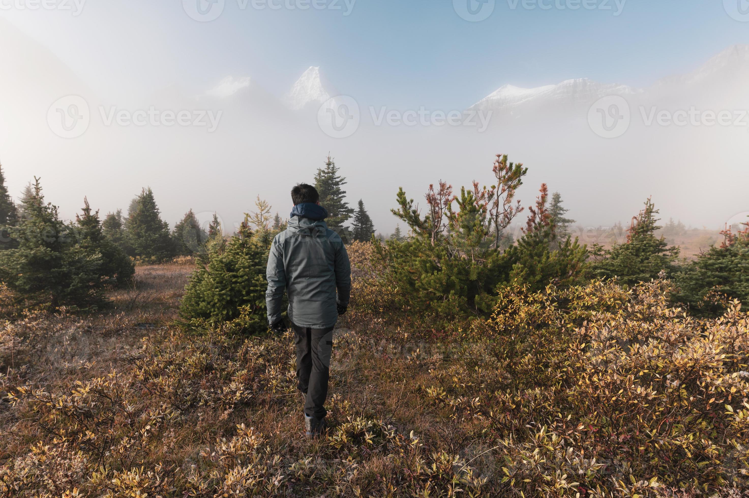 viaggiatore uomo che cammina sul campo con nebbia in montagne rocciose al parco provinciale di assiniboine foto