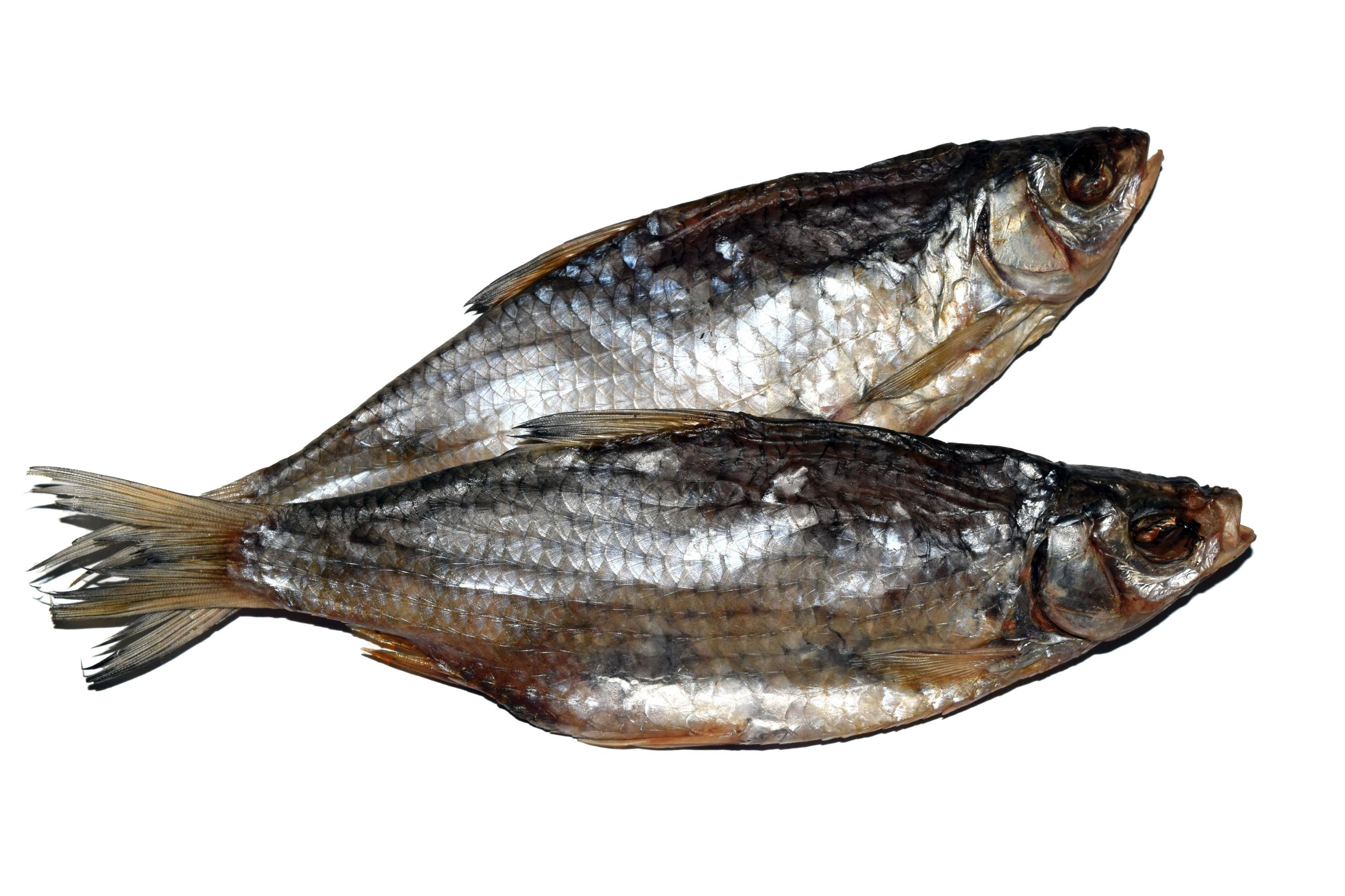 due pesci secchi su sfondo bianco foto