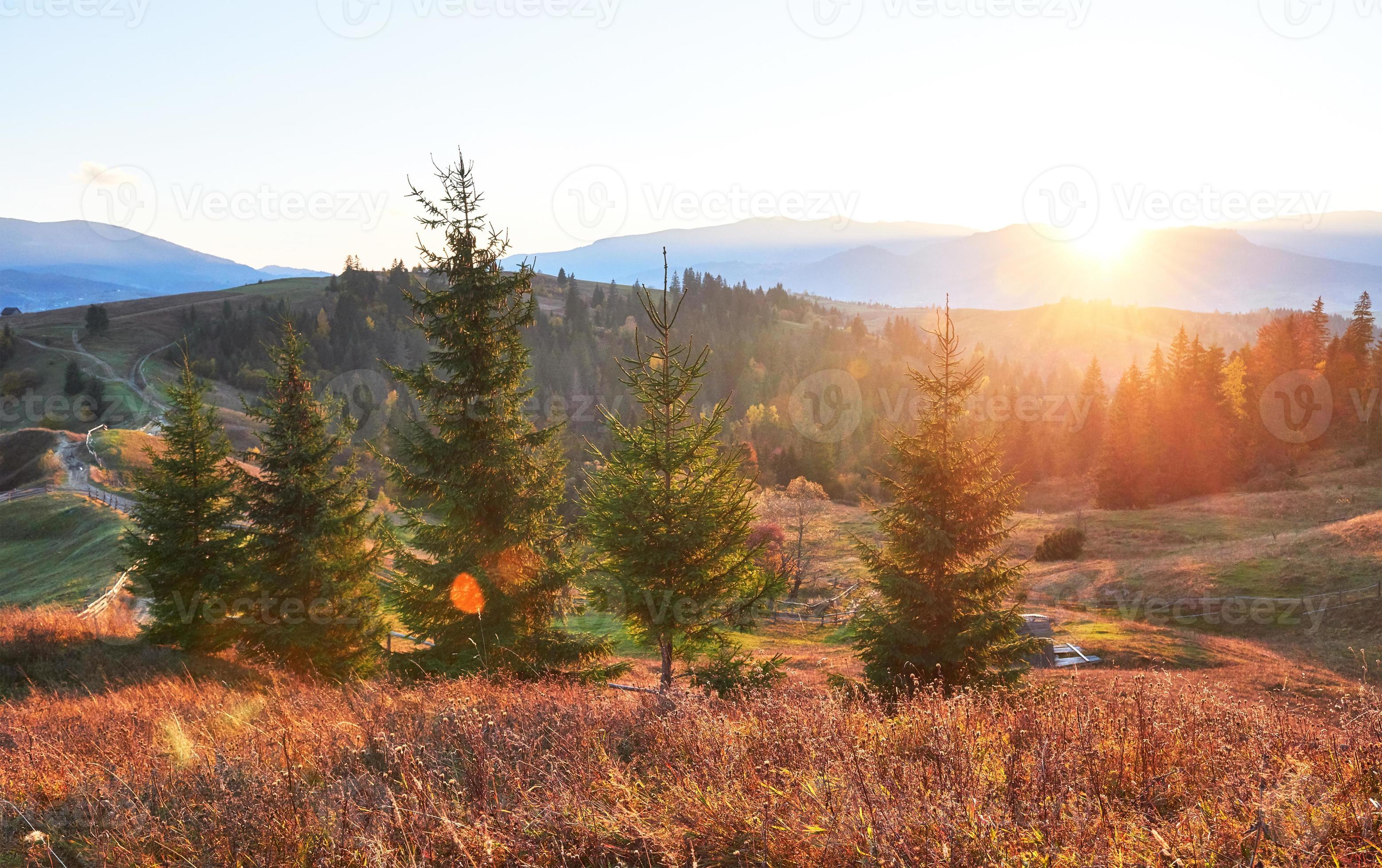 incredibile paesaggio mattutino autunnale in montagna con prati e alberi colorati in primo piano e nebbia sotto i piedi. parco naturale nazionale synevyr, montagne dei Carpazi, ucraina. bellissimo sfondo autunnale foto