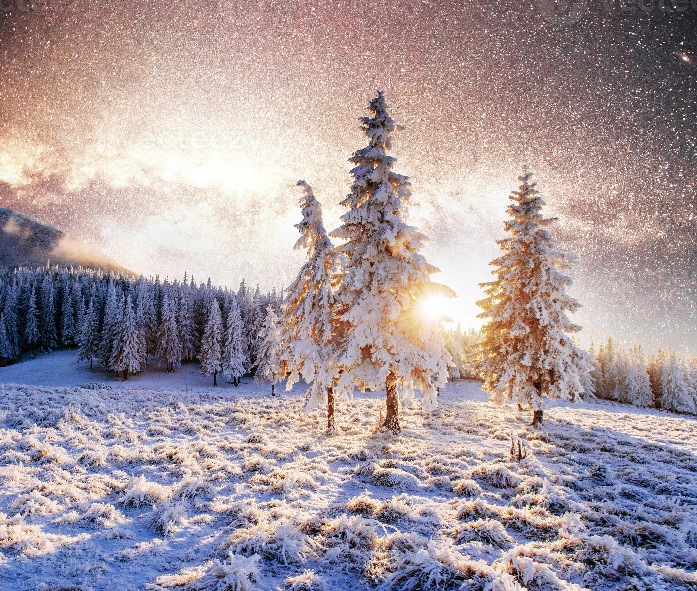 momento magico, alberi innevati. paesaggio invernale. foto