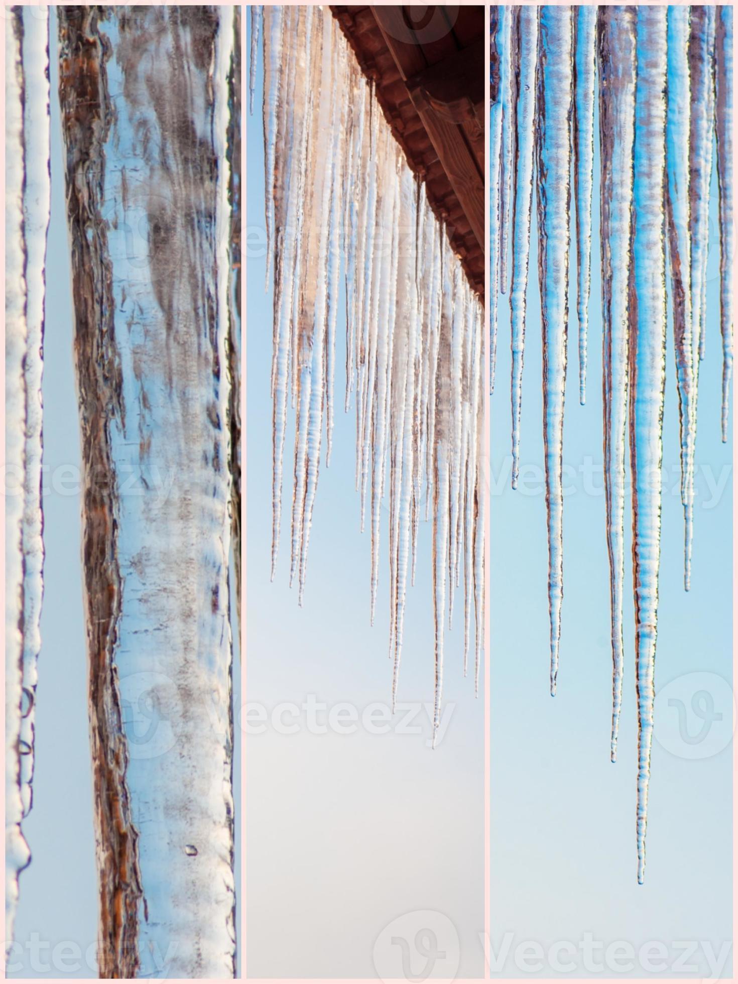 Natura Invernale Belle Immagini Collage Foto D Archivio