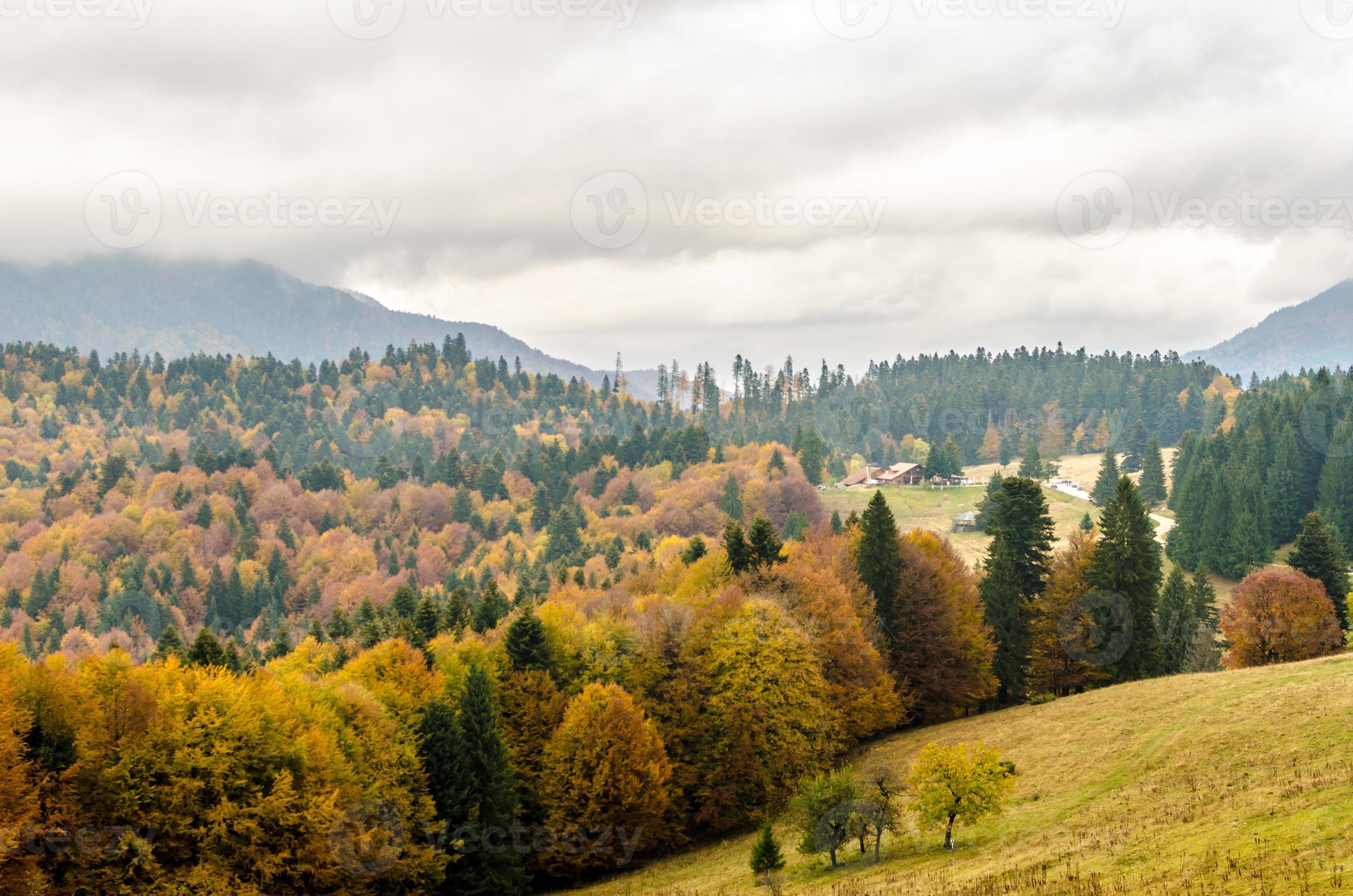 Autunno Paesaggio Di Montagna Sullo Sfondo Foto D Archivio