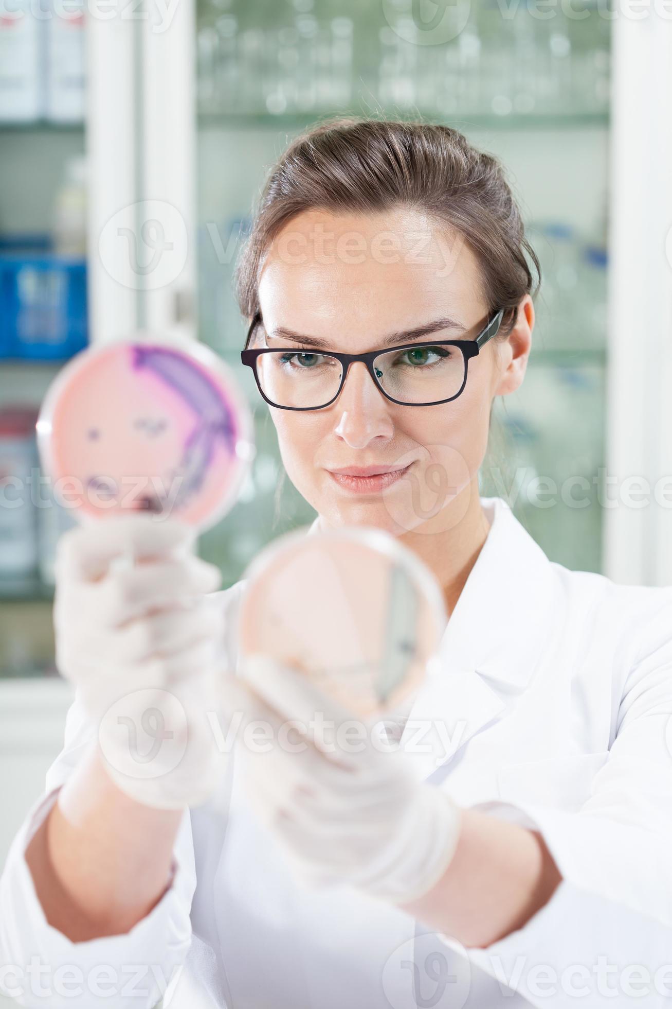 scienziato che guarda i microbatteri alla capsula di Petri foto