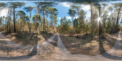 panorama hdri sferico completo vista angolare a 360 gradi su sentiero pedonale di ghiaia e pista ciclabile nella foresta di pini in una soleggiata giornata primaverile in proiezione equirettangolare. contenuto vrar foto