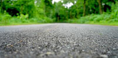 strada nera nella fitta foresta di daringbadi foto