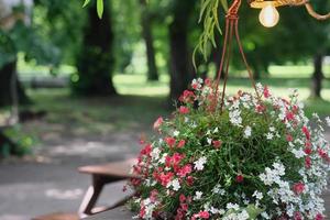 vaso di fiori appeso e una lampada in un caffè di strada in un parco. arredamento del caffè estivo. decorazione stagionale della città all'aperto. posto tranquillo per riposarsi foto