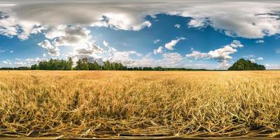 panorama hdri completo sferico senza soluzione di continuità angolo di 360 gradi tra segale e campi di grano in estate tramonto serale con fantastiche nuvole in proiezione equirettangolare, contenuto di realtà virtuale vr ar pronto foto