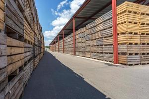 file di casse di legno scatole e pallet per frutta e verdura in magazzino. magazzino di produzione. industria vegetale foto