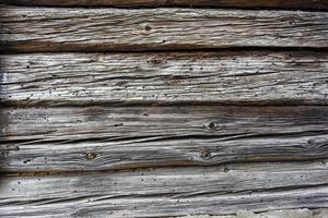 struttura in legno grigio della struttura della vecchia casa con scarabeo di corteccia mangiato dalla tana foto