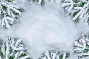 foresta invernale ghiacciata con alberi innevati. foto