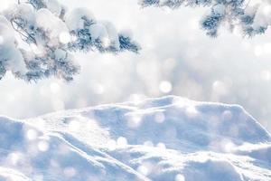 ramo di abete di conifere. foresta invernale ghiacciata con alberi innevati. foto