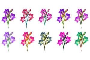 campane di fiori luminosi e colorati isolati su sfondo bianco. foto
