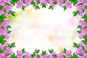 peonie di fiori colorati luminosi foto