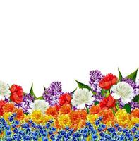 fiori lilla. fiori luminosi e colorati. foto