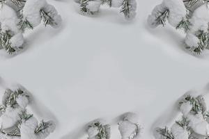 foresta invernale ghiacciata con alberi innevati. foto