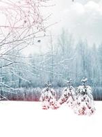 foresta d'inverno. paesaggio invernale. foto