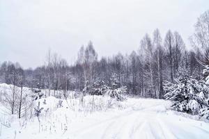 foresta invernale ghiacciata con alberi innevati. foto