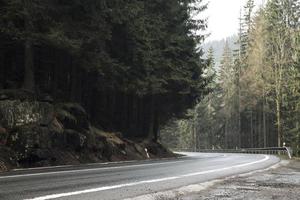 paesaggio girato nella foresta foto