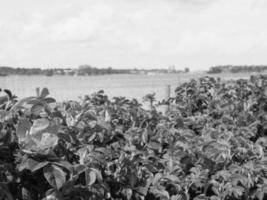 la piccola città di Arnis sul fiume Schlei foto