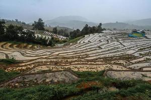 vietare il campo di terrazze di riso di pa pong piang nella provincia di chiang mai della tailandia dopo una grande pioggia. foto