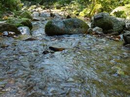 la foresta nera in germania foto