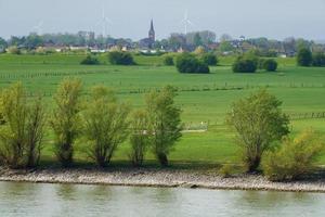 il fiume Reno vicino a Wesel foto