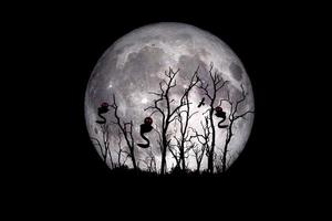 idea festa di halloween. fantasma di un albero morto con la luna sullo sfondo. foto