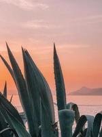 bei paesaggi è il molo della spiaggia dell'oceano con crescita e molo foto