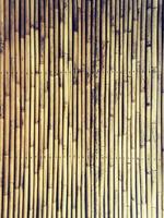 lo sfondo delle vecchie pareti di bambù.