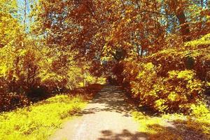 bella vista panoramica su un paesaggio autunnale dorato trovato in europa foto