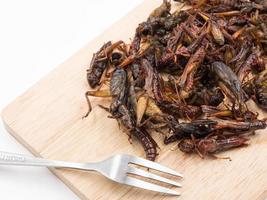 insetti fritti. cibo ricco di proteine. foto