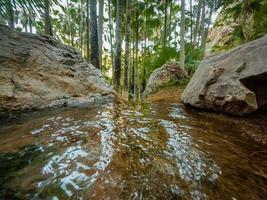 immagini di zebedee springs wa australia foto