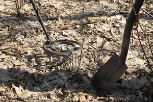 metal detector e pala nella foresta primaverile, caccia al tesoro foto