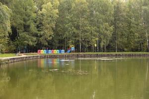 lago nel parco. parco in città. stagno in estate. posto per rilassarsi. dettagli della vita cittadina. foto