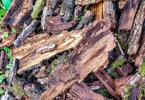 fotografia a tema grande parete di tronchi di quercia impilati nelle fessure foto