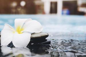 la foto in stile vintage è plumeria bianca con sfondo di piscina d'acqua