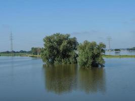 il fiume Reno vicino a bislich foto