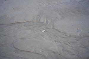 il solco galleggiante dell'habitat del granchio fantasma dagli occhi cornuti o dell'ocypode sulla sabbia bianca in riva al mare foto