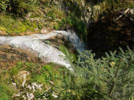 la foresta nera in germania foto