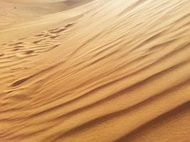 dune di sabbia nel deserto foto