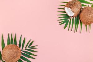 foglie di palma e noci di cocco su sfondo rosa pastello foto