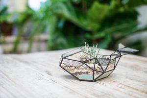 piante da appartamento in un interno elegante di una stanza di casa in vaso. il concetto di giardinaggio domestico. arredamento accogliente per una casa con una giungla domestica. giardino verde. foto