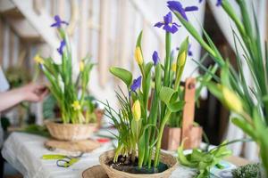 eleganti composizioni floreali primaverili e pasquali di iris, tulipani, narcisi e rami di salice, che si trovano sul tavolo alla luce del giorno a casa foto