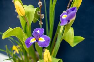 eleganti composizioni floreali primaverili e pasquali di iris, tulipani, narcisi e rami di salice, che si trovano sul tavolo alla luce del giorno a casa foto