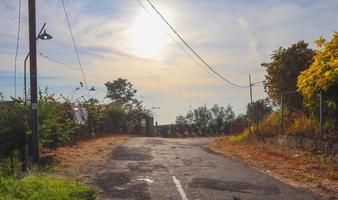 strada di campagna in zona di montagna con molti alberi ai margini della strada foto